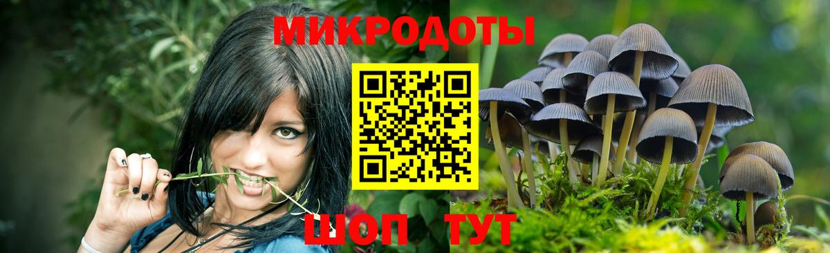 Галлюциногенные грибы Cubensis  Вход с VPN  Москва 